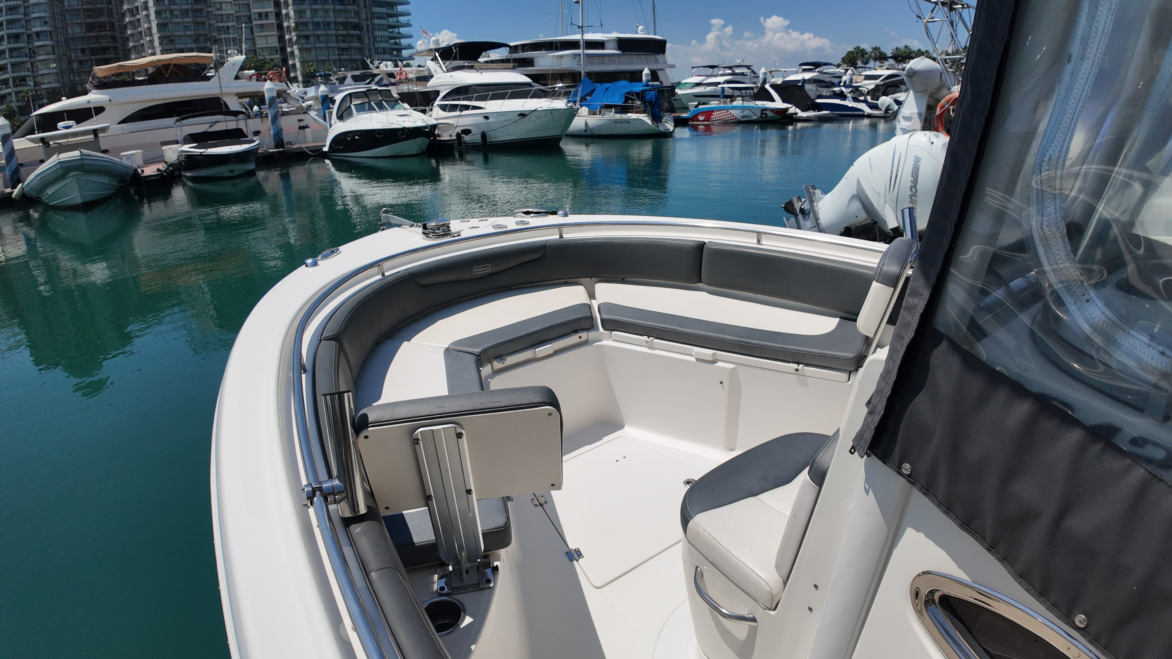Robalo R242 · 2018 for sale in Singapore — photo 9