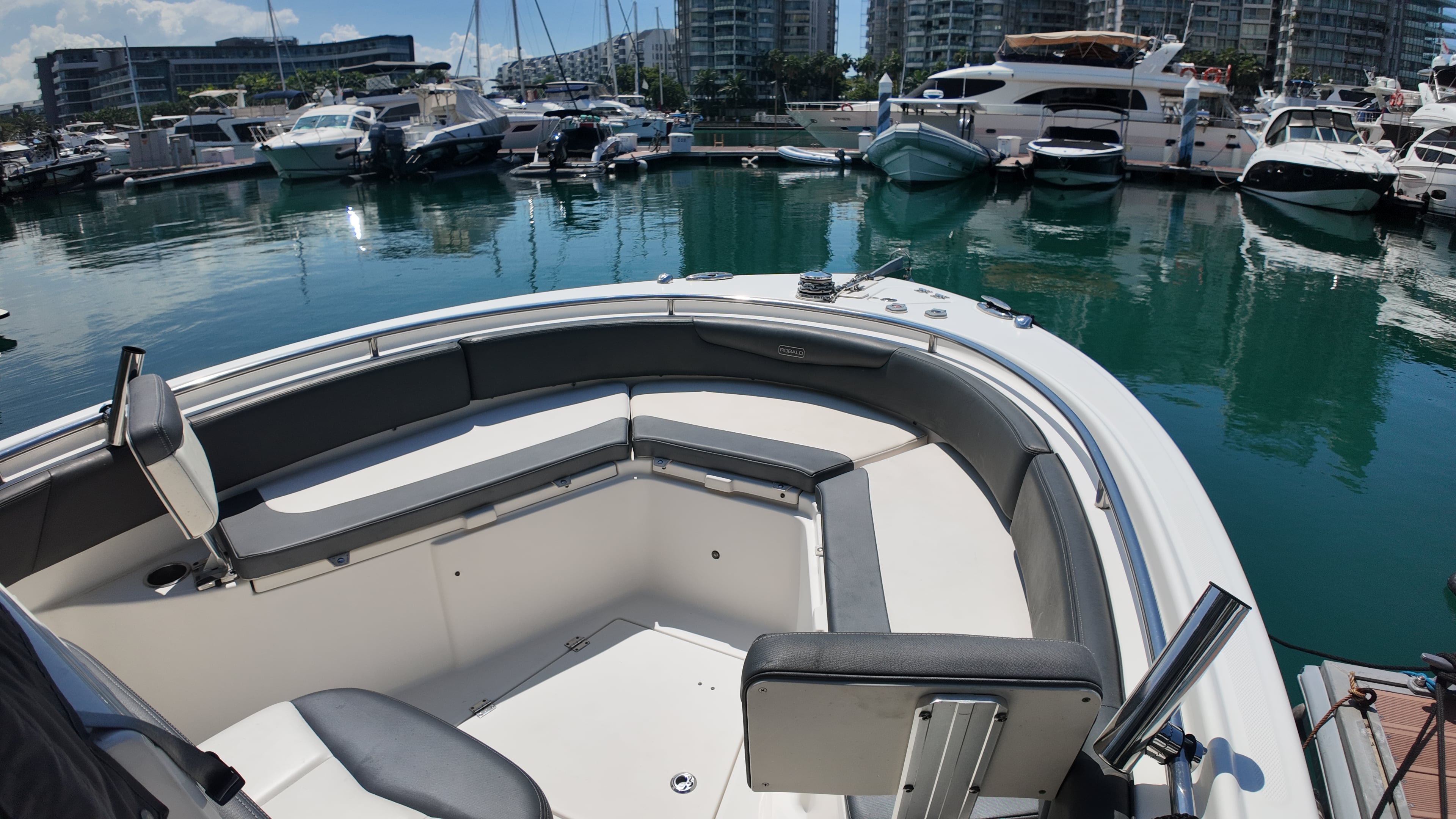 Robalo R242 · 2018 for sale in Singapore — photo 10