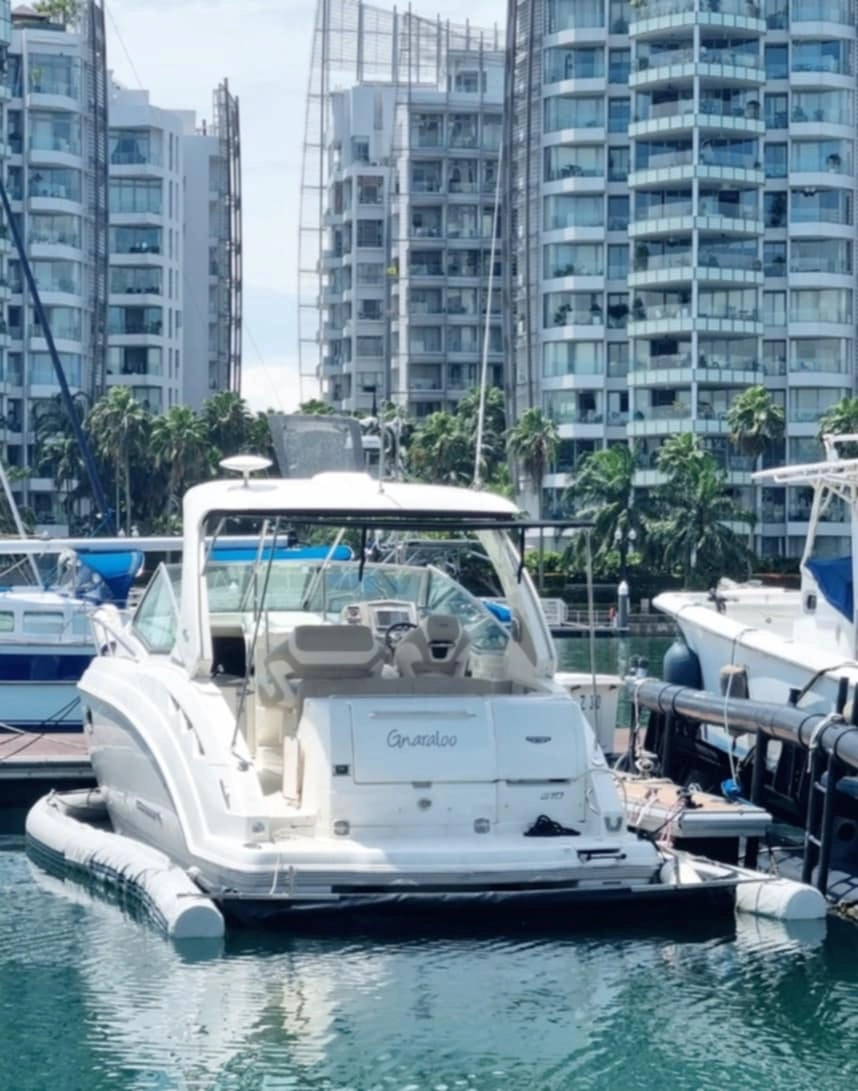 Chaparral 310 Signature · 2011 en venta en Singapur — foto 3