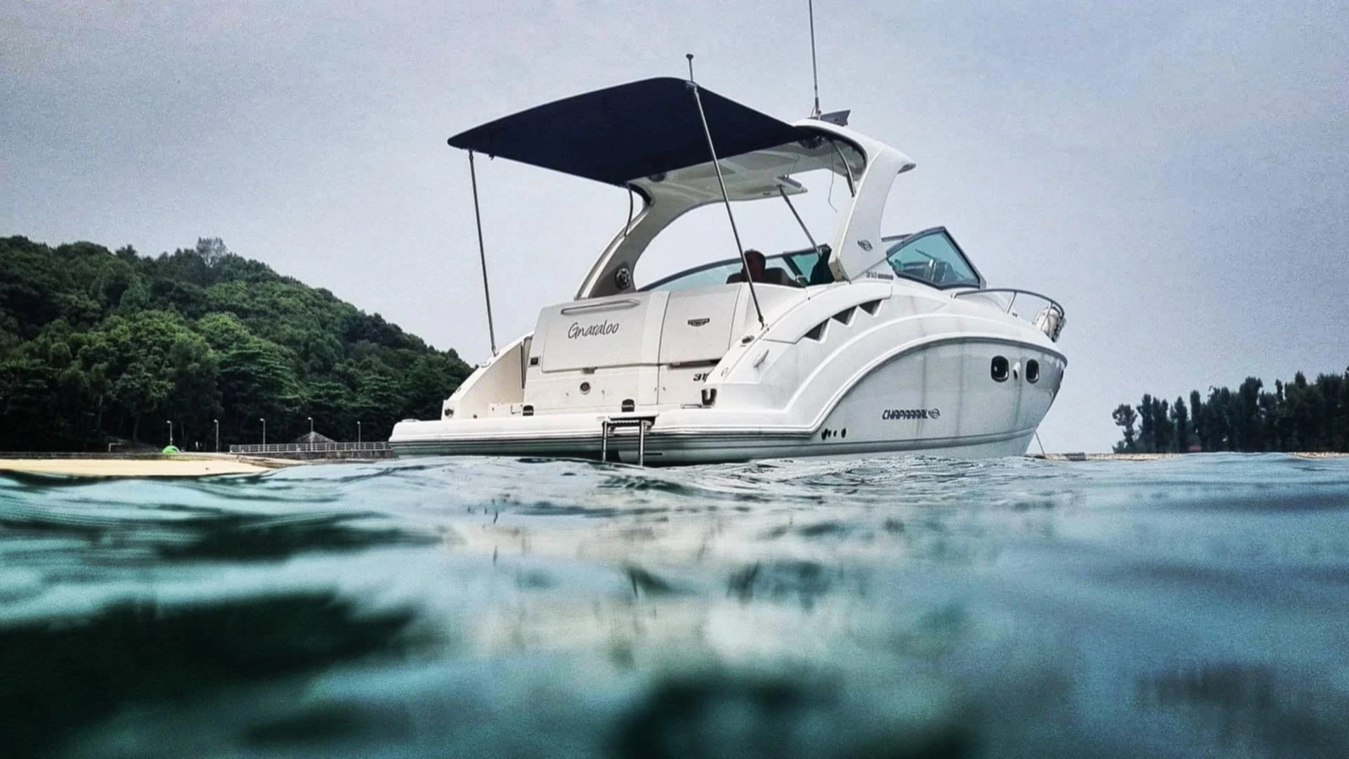 Chaparral 310 Signature · 2011 en venta en Singapur — foto 4
