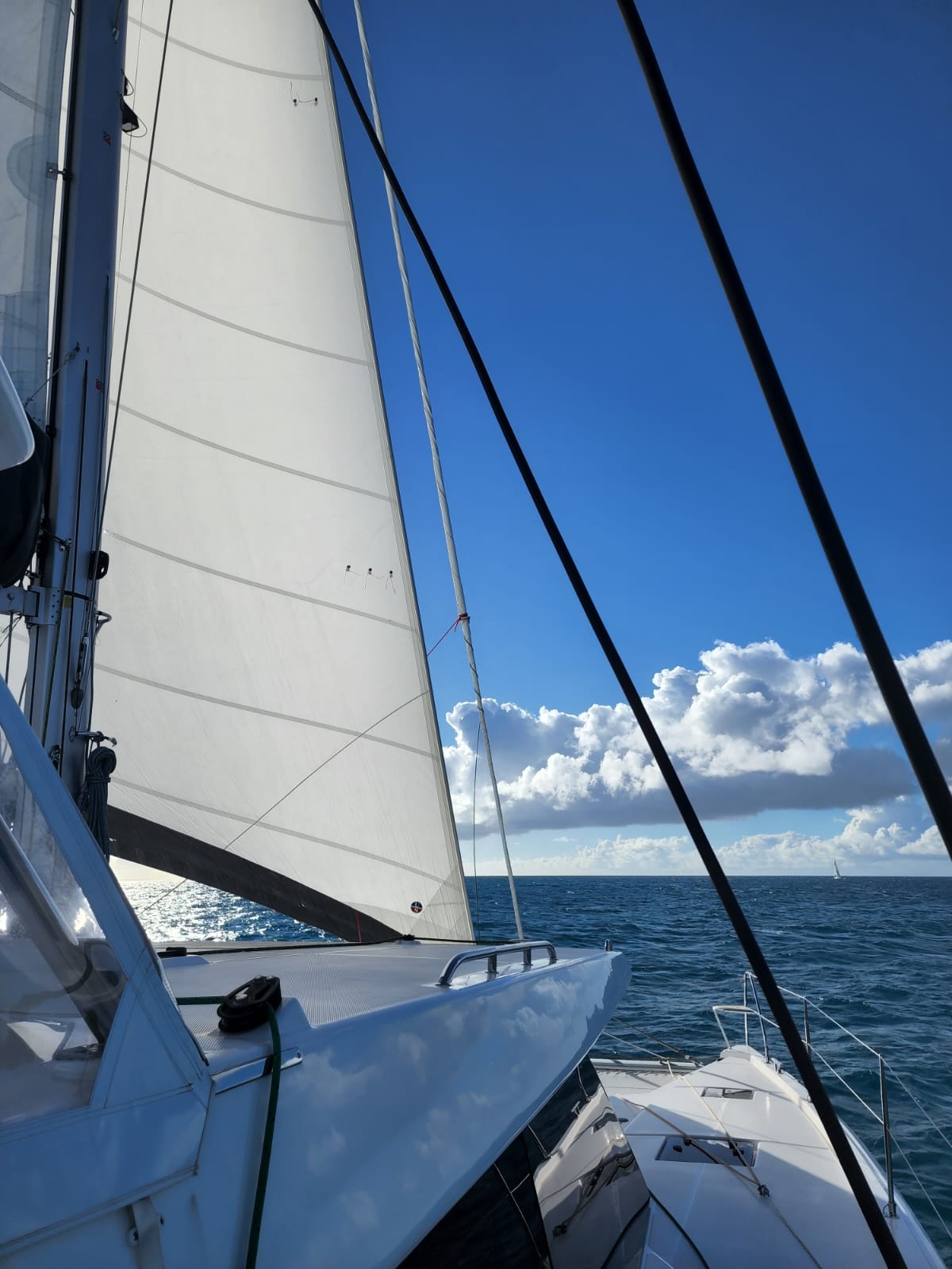 Leopard 50 · 2024 en venta en Tailandia (Phuket) — foto 8