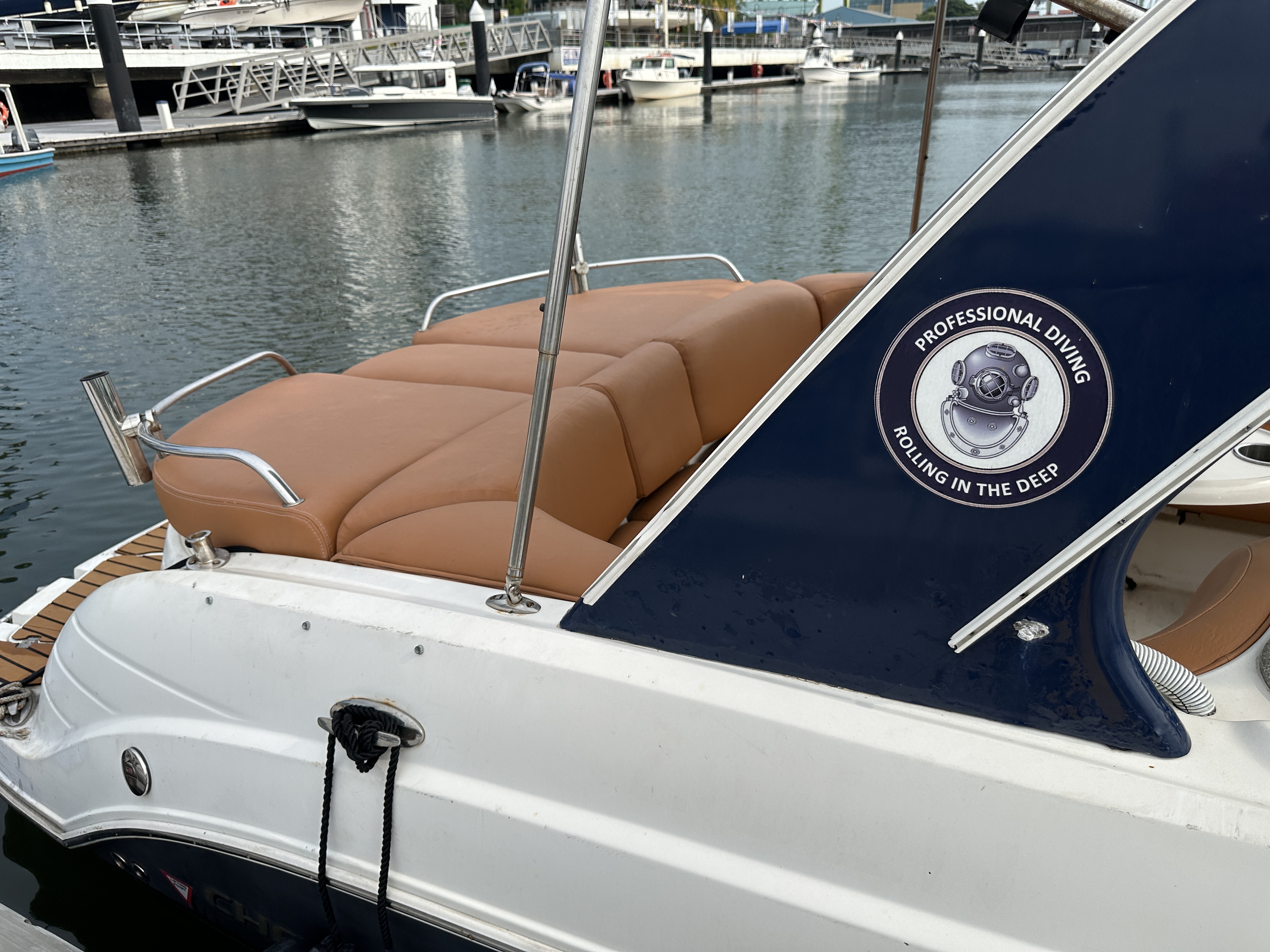 Chaparral 256 SSi · 2009 en venta en Singapur — foto 5