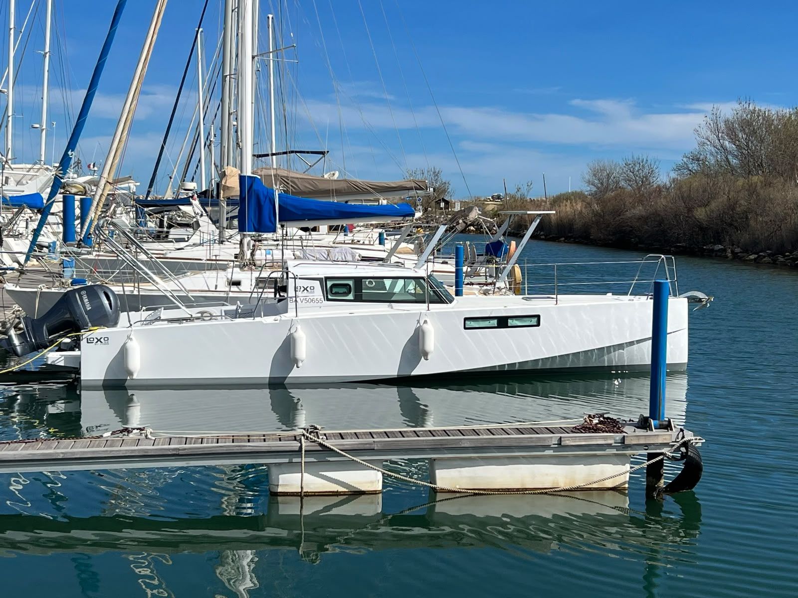 Pogo Loxo 32 HB · 2023 en venta en Mallorca — foto 6