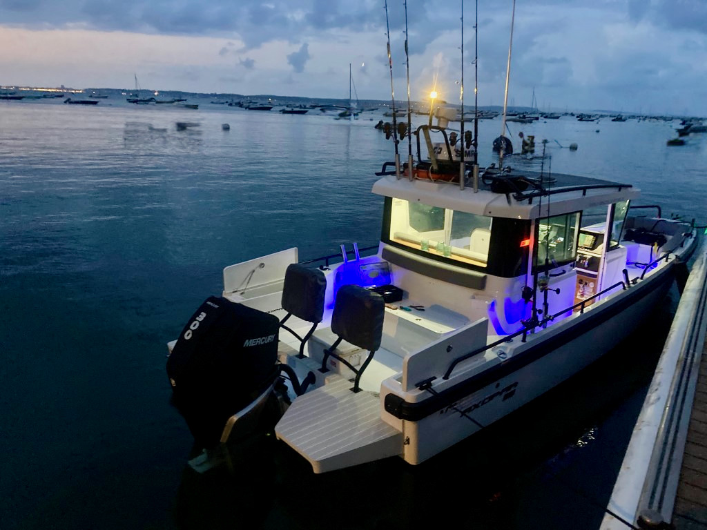 Axopar 28 Cabin Brabus Line · 2021 zu verkaufen – Vendée und La Rochelle — Foto 6