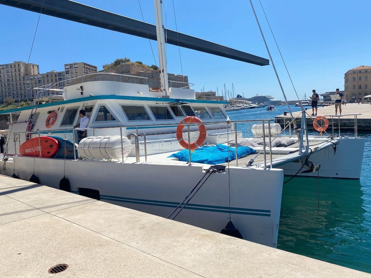 Custom Maxi Day Charter Catamaran 65 · 2017 en venta en Costa Azul — foto 3