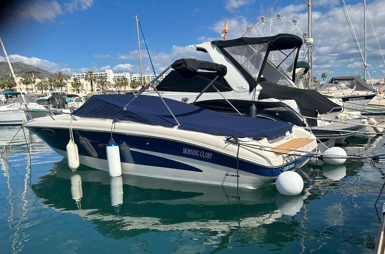 Sea ray 230 signature · 2001 en venta en Málaga y Costa del Sol — foto 9