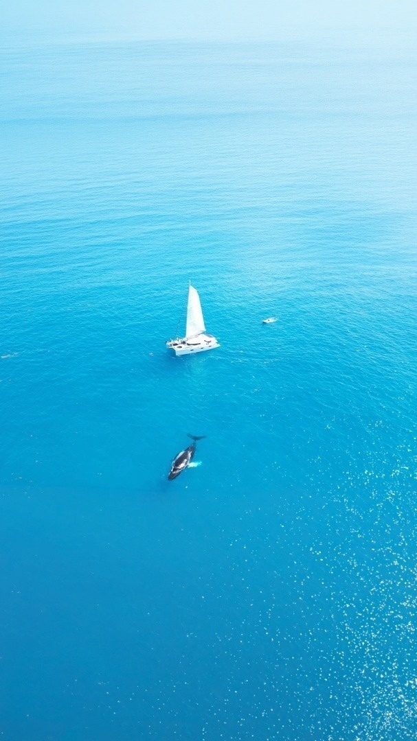 Fountaine Pajot Sanya 57 · 2013 in vendita in Caraibi — foto 4
