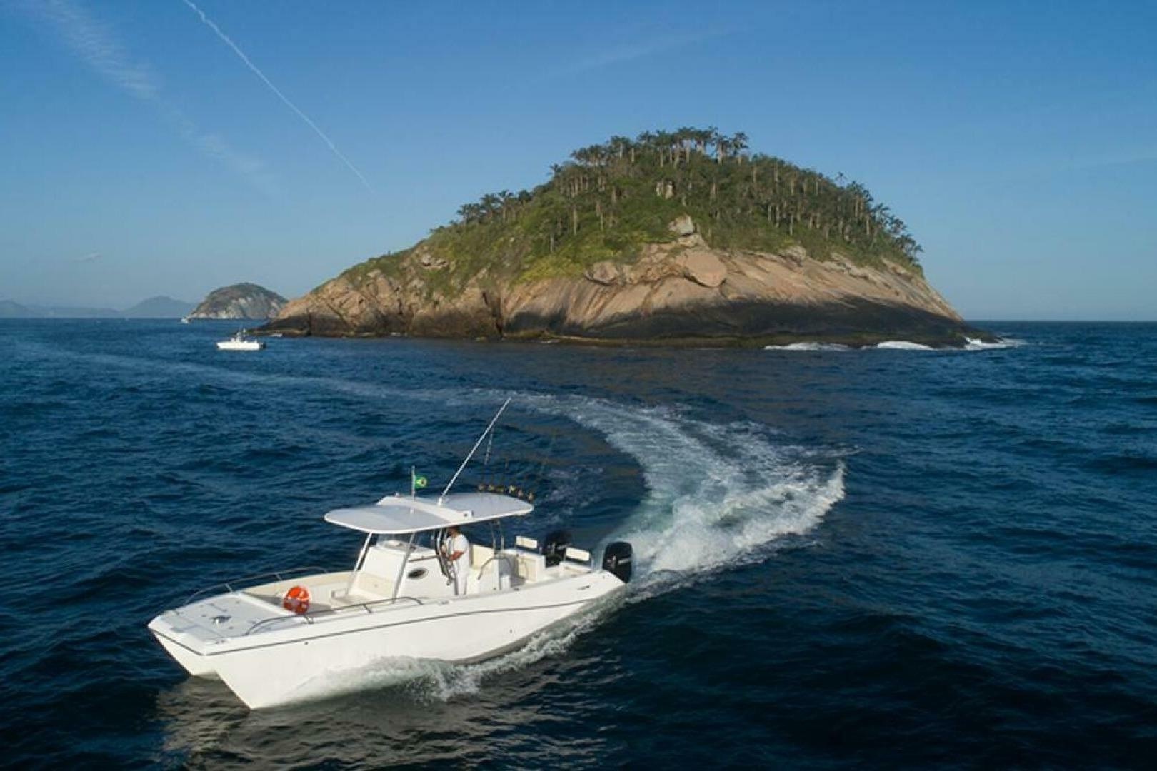 Garnet Offshore 300 HT · 2025 en venta en Florida — foto 3
