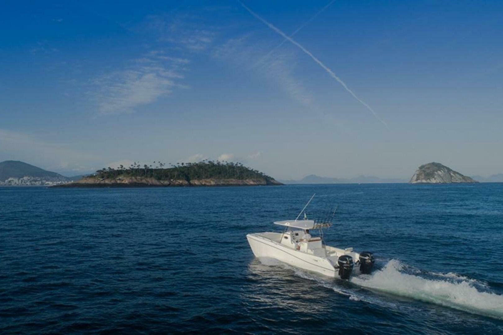 Garnet Offshore 300 HT · 2025 en venta en Florida — foto 6