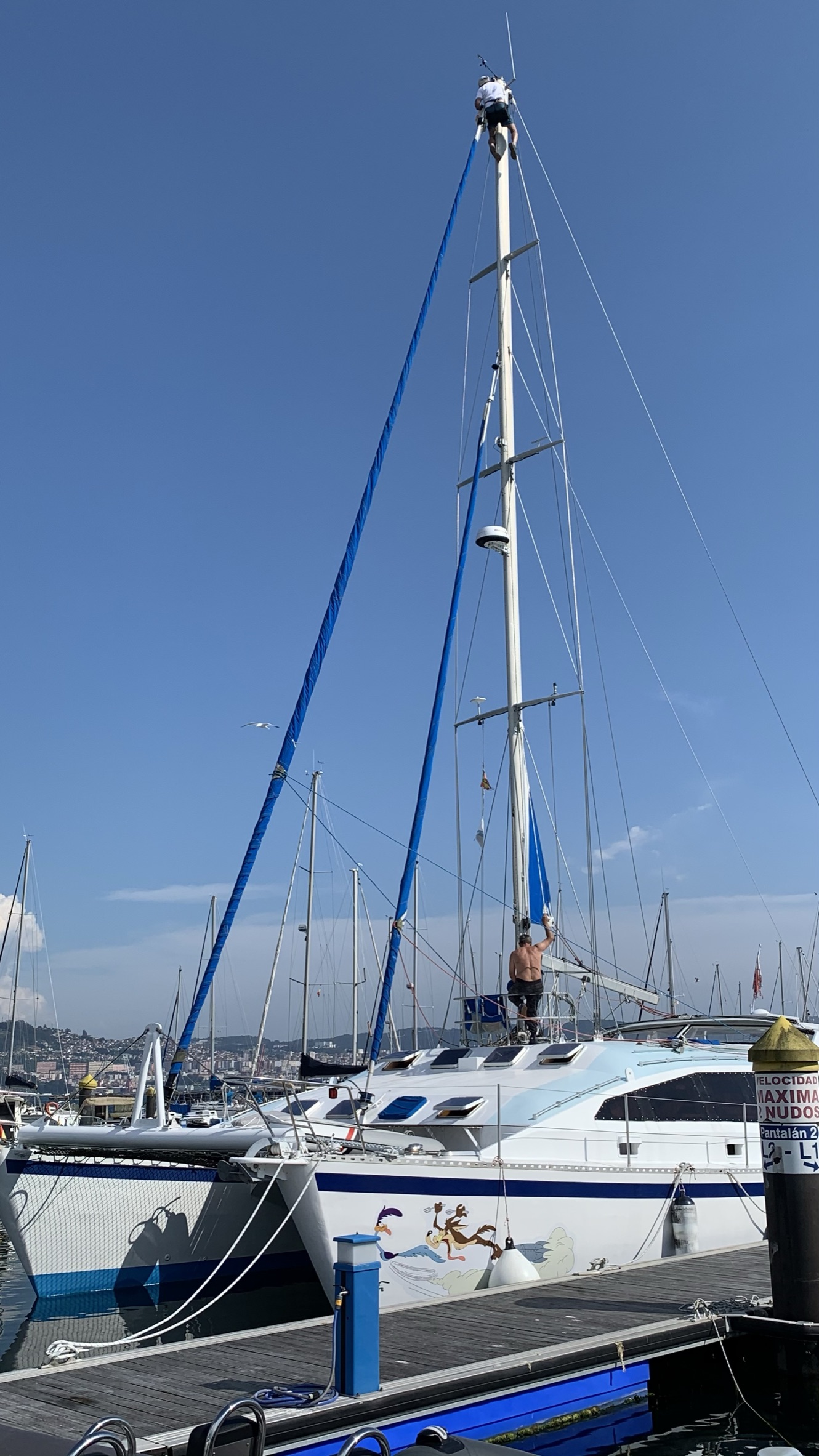 One Off Catamaran aluminium 56 (Caarenal) · 1985 in vendita in Altra zona — foto 5
