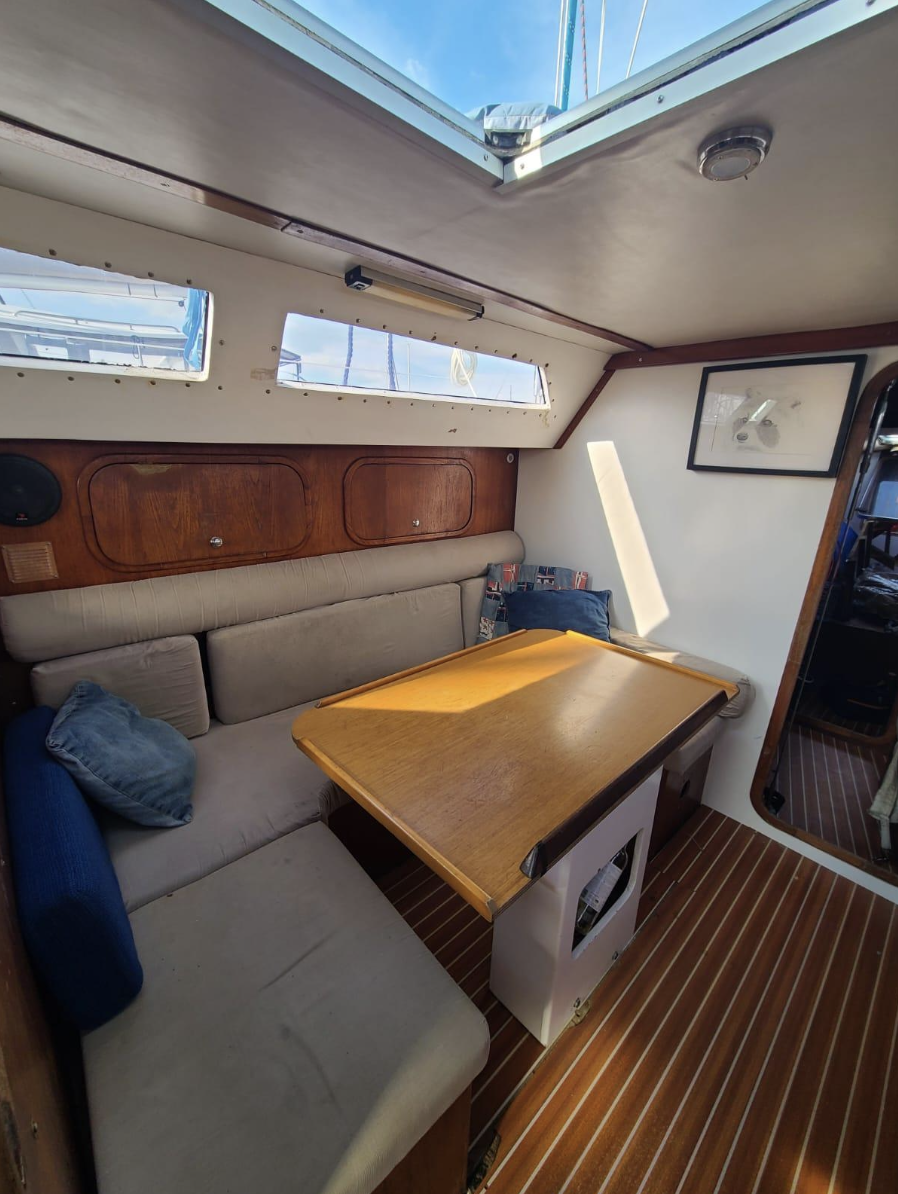 CN Coder Shark 50 (Ribadeau-Dumas) · 1985 en venta en Bretaña — foto 8
