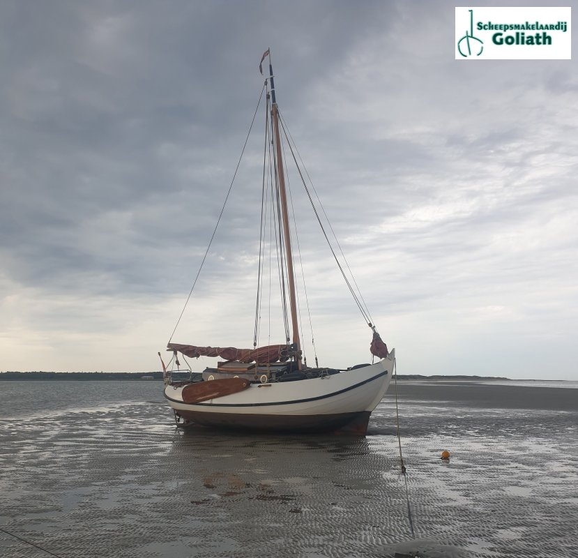 Vollenhovense Bol 8.10 · 1979 en venta en Países Bajos y Bélgica — foto 2