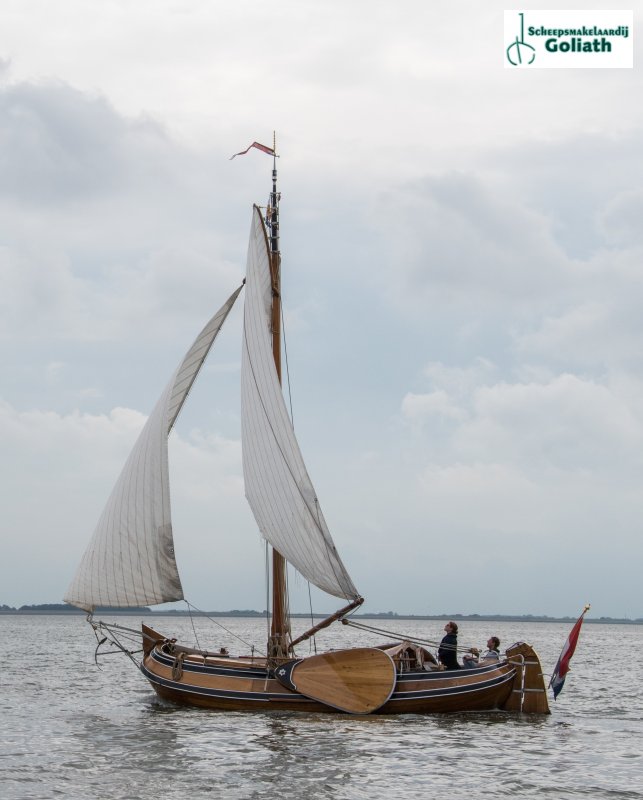 Boeier Lantinga 900 · 1908 zu verkaufen – Niederlande und Belgien — Foto 2