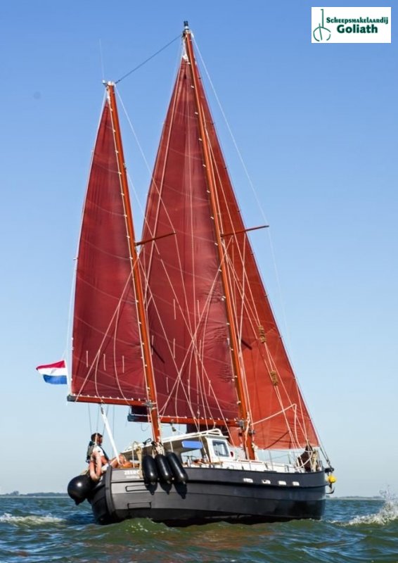 Danish Rose 31 · 2006 en venta en Países Bajos y Bélgica — foto 5