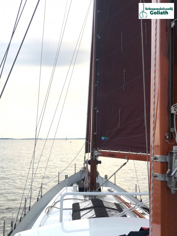 Danish Rose 31 · 2006 en venta en Países Bajos y Bélgica — foto 7