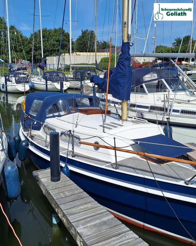 Argonaut 860 · 1974 zu verkaufen – Niederlande und Belgien — Foto 5