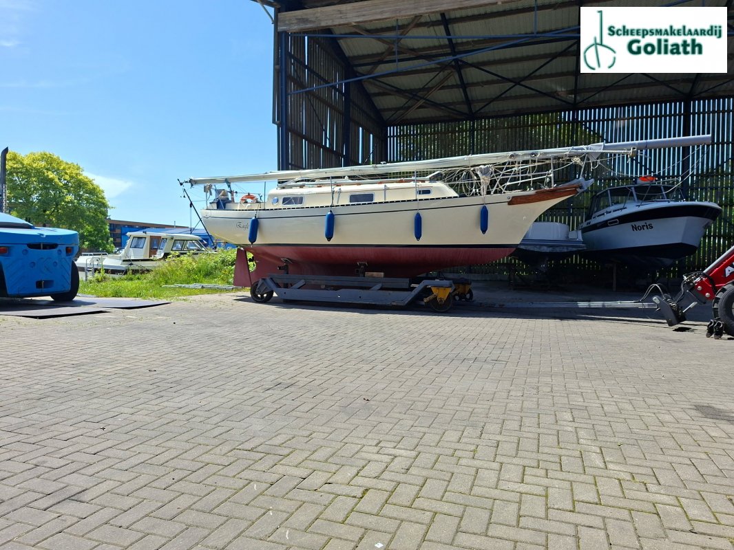 Bayfield 29 · 1981 zu verkaufen – Niederlande und Belgien — Foto 2