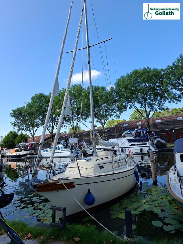 Bayfield 29 · 1981 zu verkaufen – Niederlande und Belgien — Foto 3