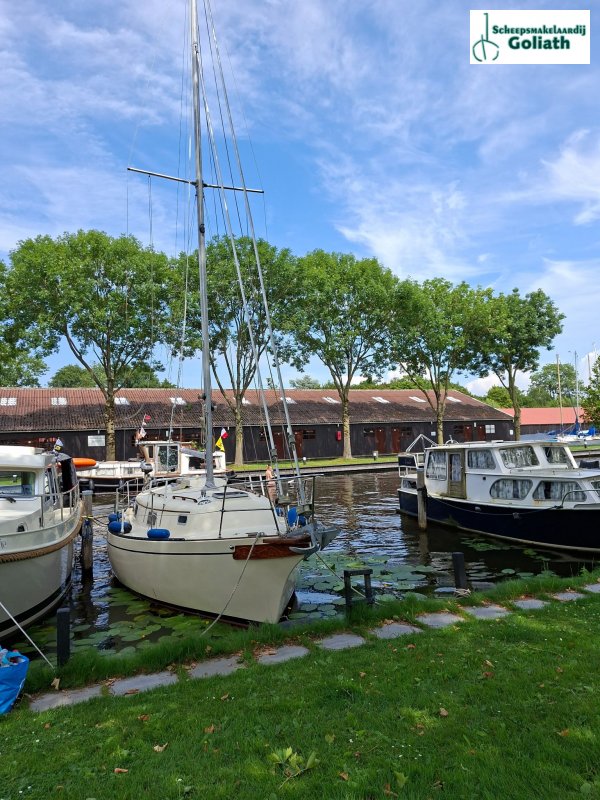 Bayfield 29 · 1981 zu verkaufen – Niederlande und Belgien — Foto 4