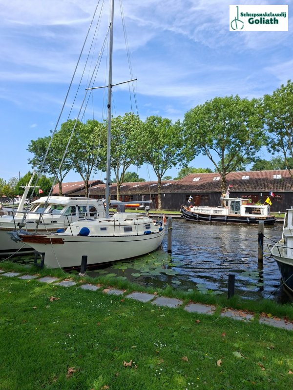 Bayfield 29 · 1981 zu verkaufen – Niederlande und Belgien — Foto 5