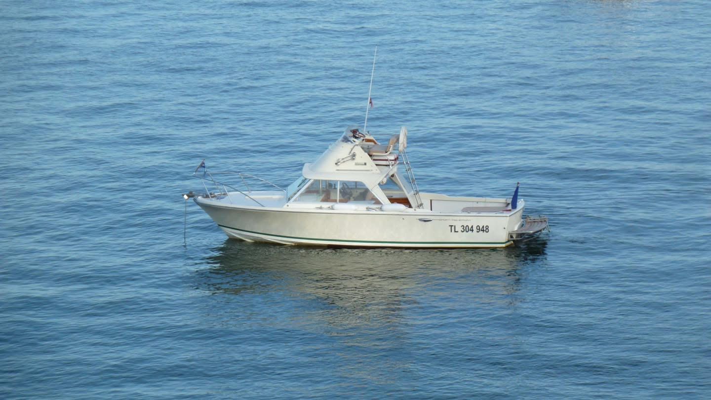 Bertram 25 flybridge · 1970 zu verkaufen – Andere Region — Foto 1