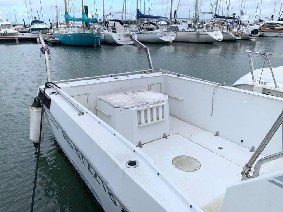Chris Craft Sea Hawk 266 · 1993 zu verkaufen – Andere Region — Foto 3