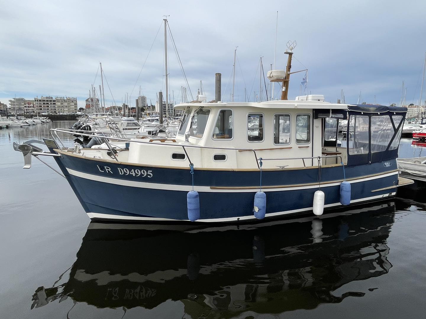 Rhea Marine 850 · 2009 zu verkaufen – Andere Region — Foto 1