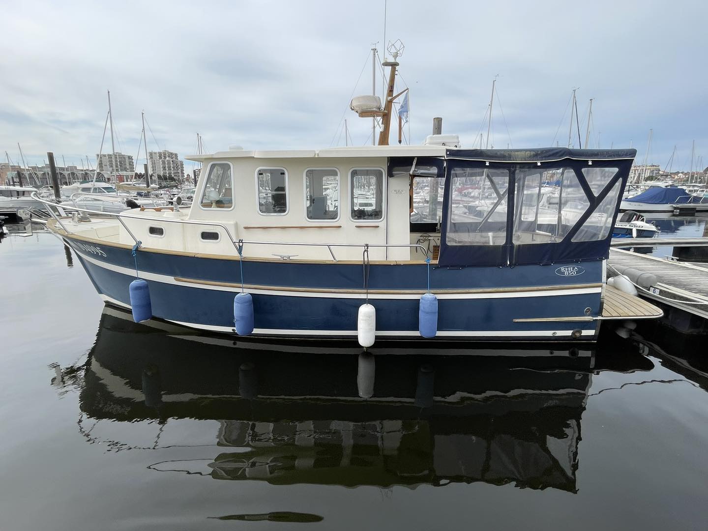 Rhea Marine 850 · 2009 zu verkaufen – Andere Region — Foto 2