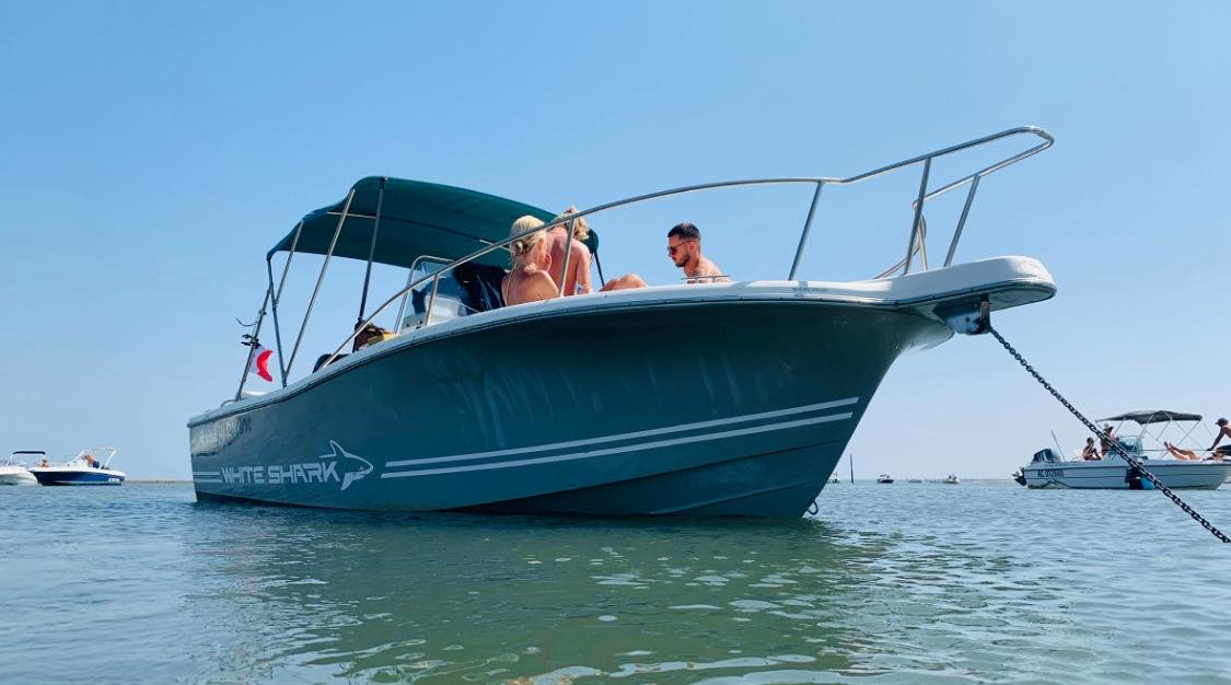 Kelt Marine White Shark 225 · 2000 zu verkaufen – Andere Region — Foto 2