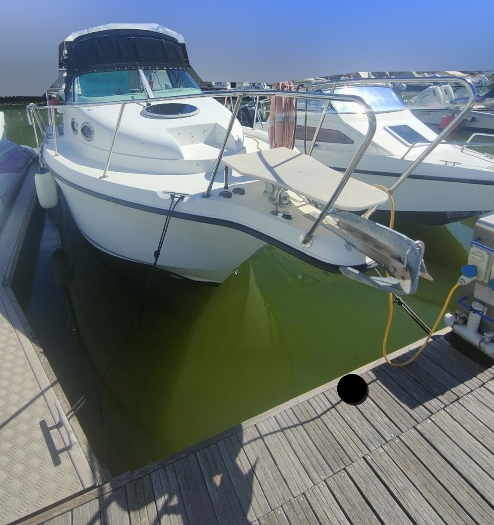 Seaswirl Striper 2601 · 2005 in vendita in Toscana (Livorno ed Elba) — foto 1