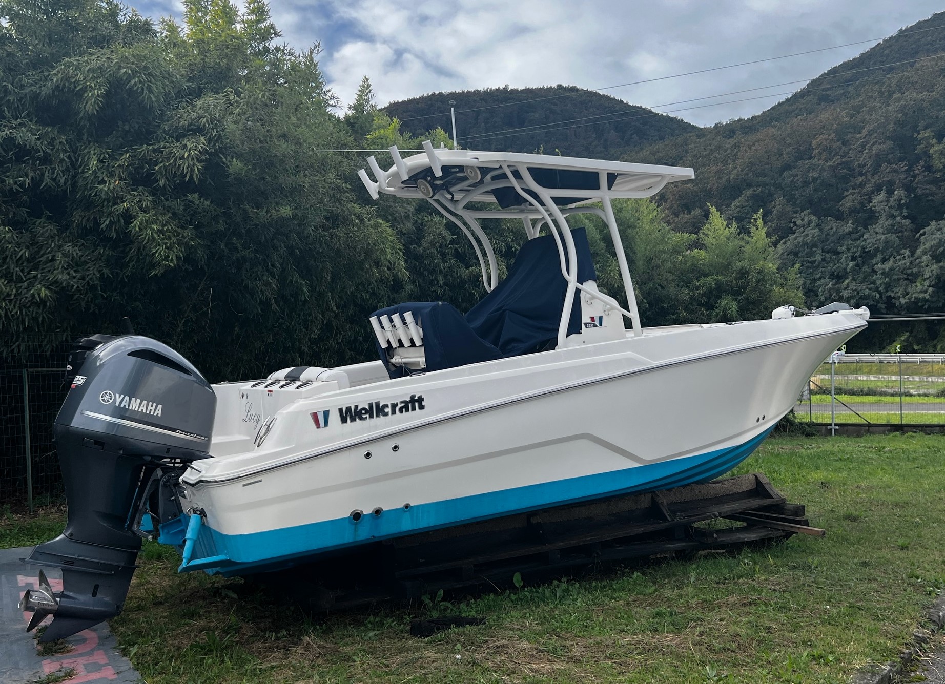 Wellcraft 222 · 2018 en venta en Toscana (Livorno y Elba) — foto 1