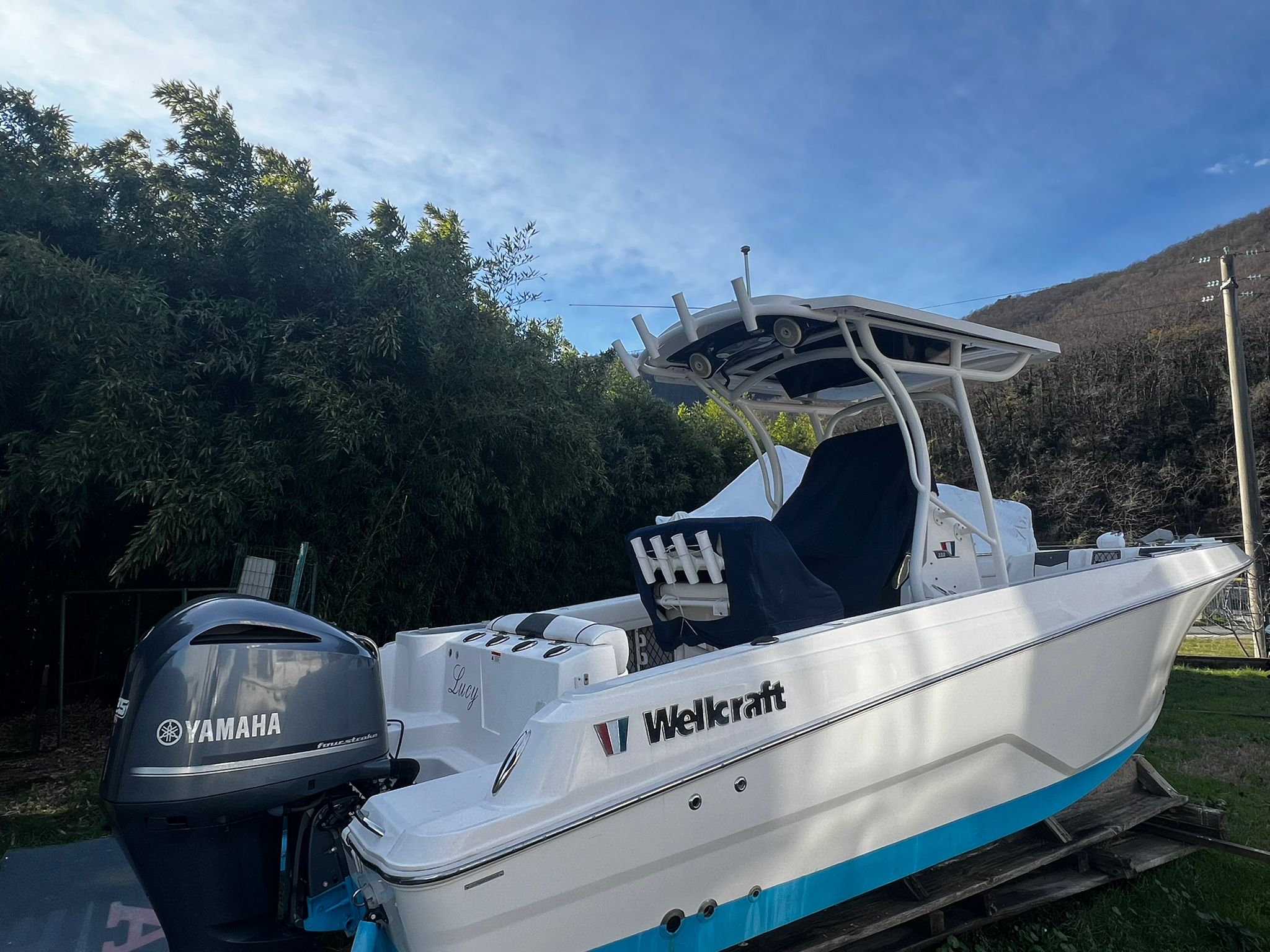 Wellcraft 222 · 2018 en venta en Toscana (Livorno y Elba) — foto 4