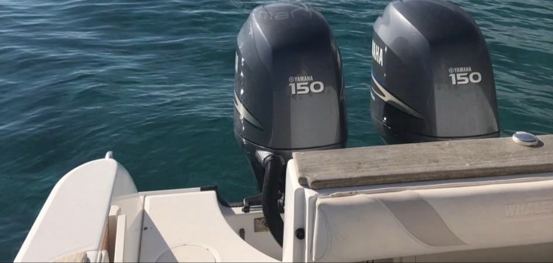 Boston Whaler 240 Outrage · 2003 in vendita in Toscana (Livorno ed Elba) — foto 1