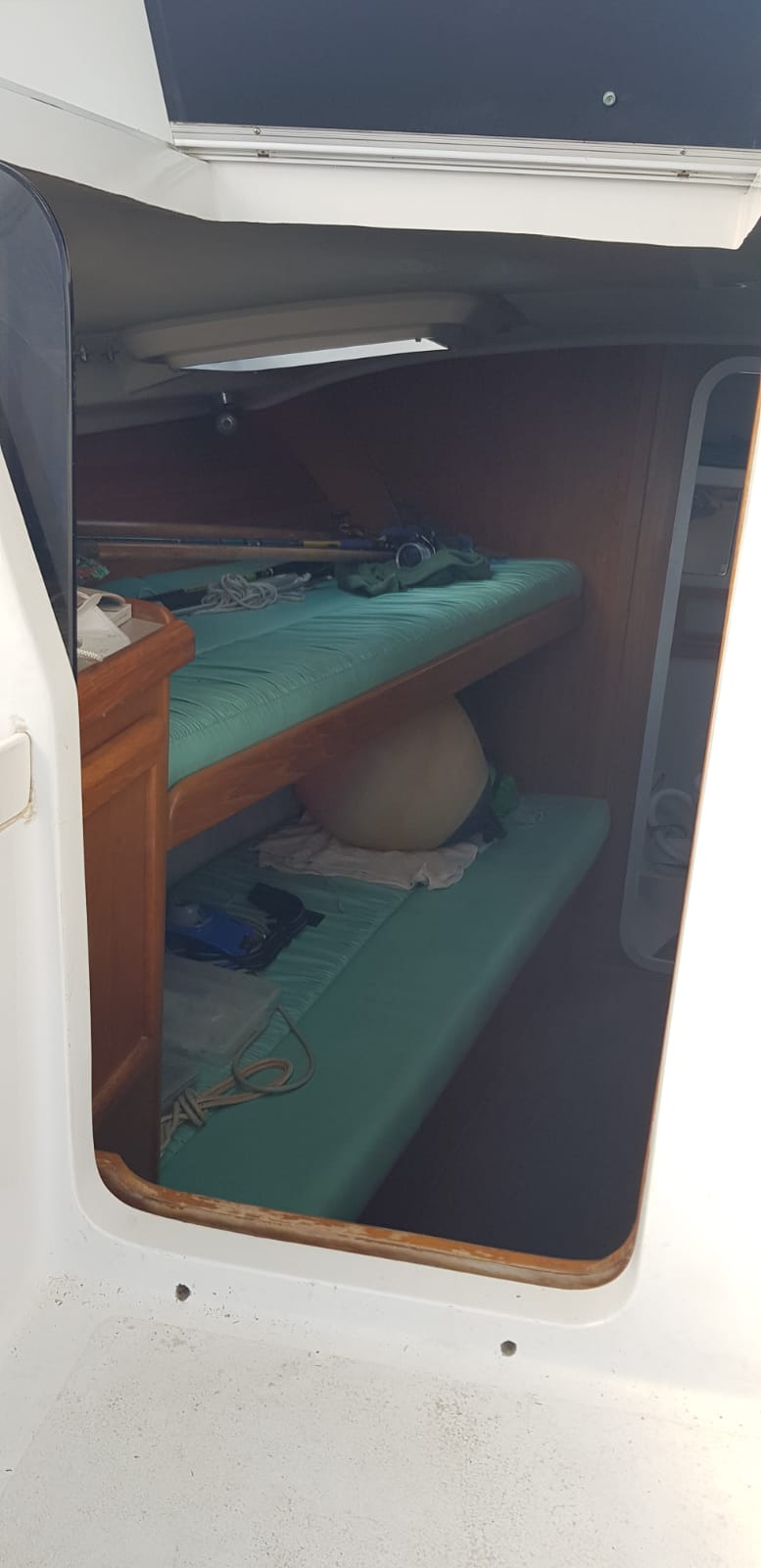 Luhrs 290 Open · 1997 zu verkaufen – Toskana (Livorno und Elba) — Foto 4