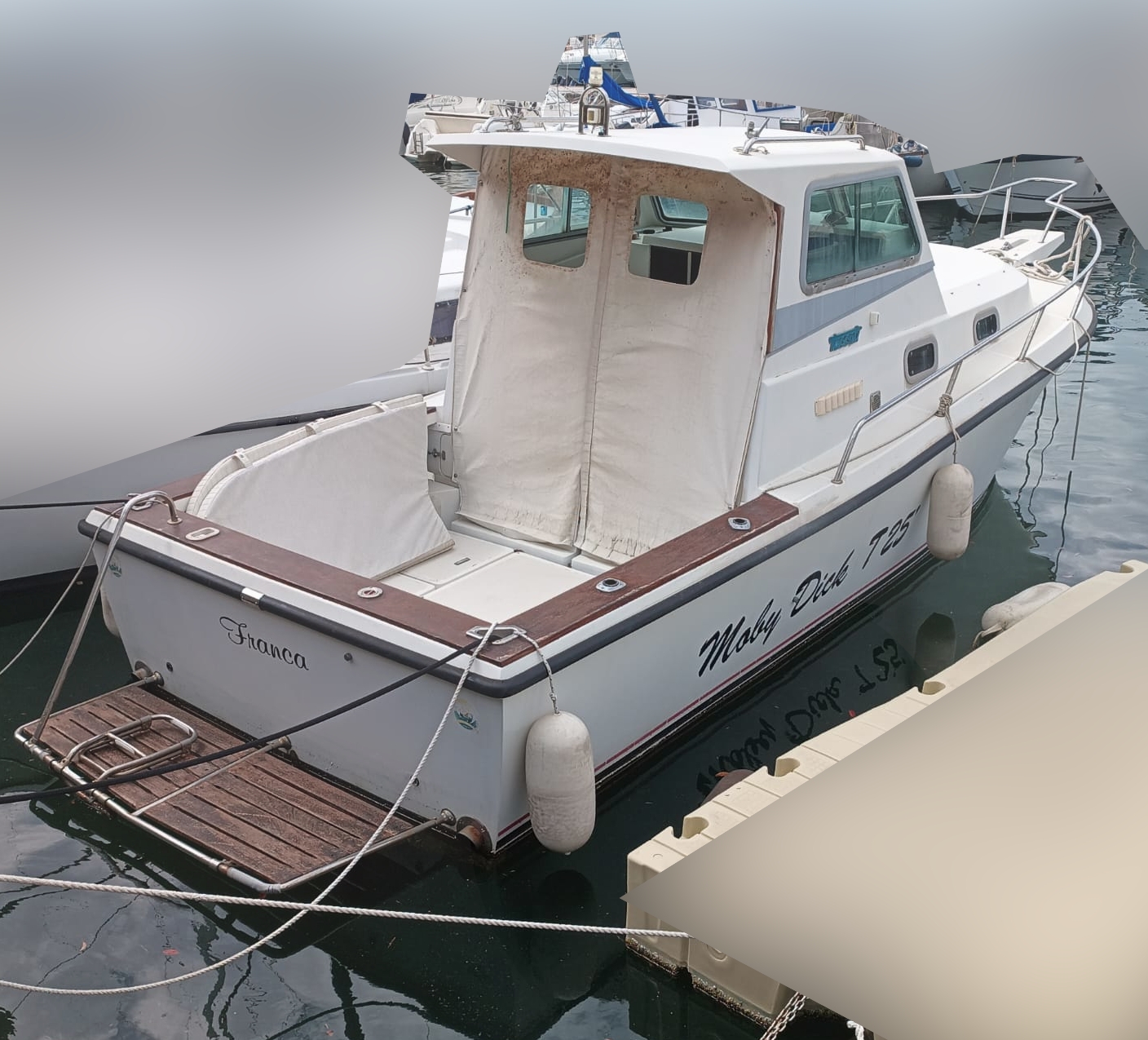 Tuccoli T 25 Moby Dick · 1994 zu verkaufen – Toskana (Livorno und Elba) — Foto 1