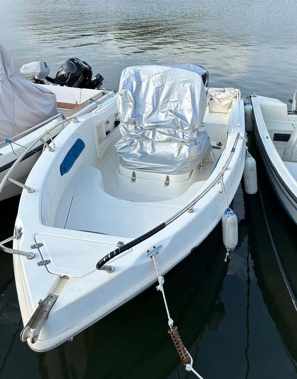 Gs 550 Open · 2010 en venta en Toscana (Livorno y Elba) — foto 2