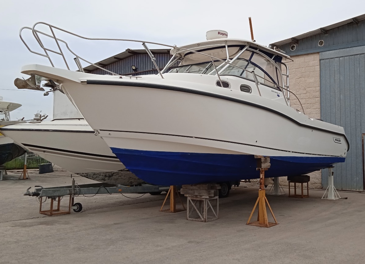 Boston Whaler 305 Conquest · 2008 zu verkaufen – Toskana (Livorno und Elba) — Foto 1