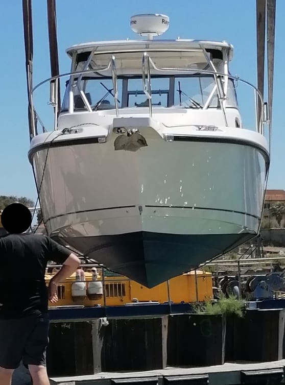 Boston Whaler 305 Conquest · 2008 zu verkaufen – Toskana (Livorno und Elba) — Foto 2