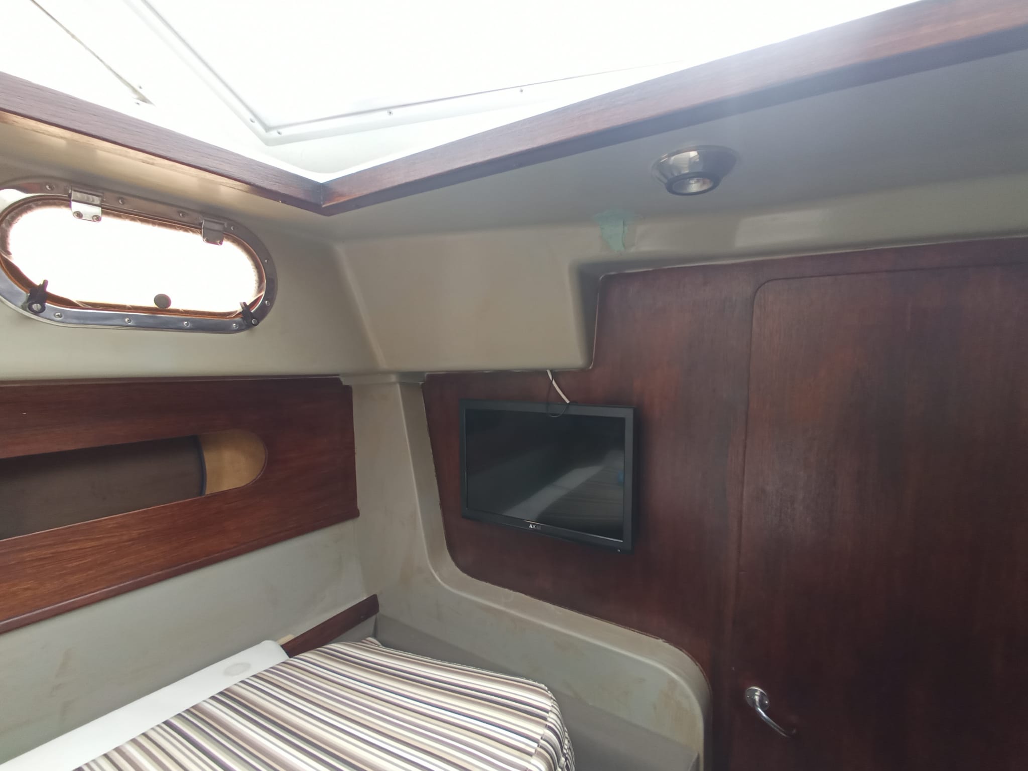 Zaniboni F310 Bluetime · 1992 zu verkaufen – Toskana (Livorno und Elba) — Foto 5