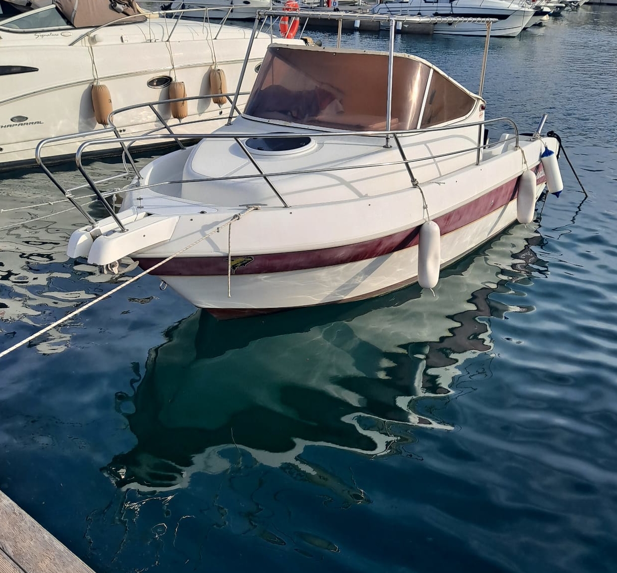 Aquamar Aquatim 650 · 2009 à vendre – Toscane (Livourne et Elbe) — photo 1