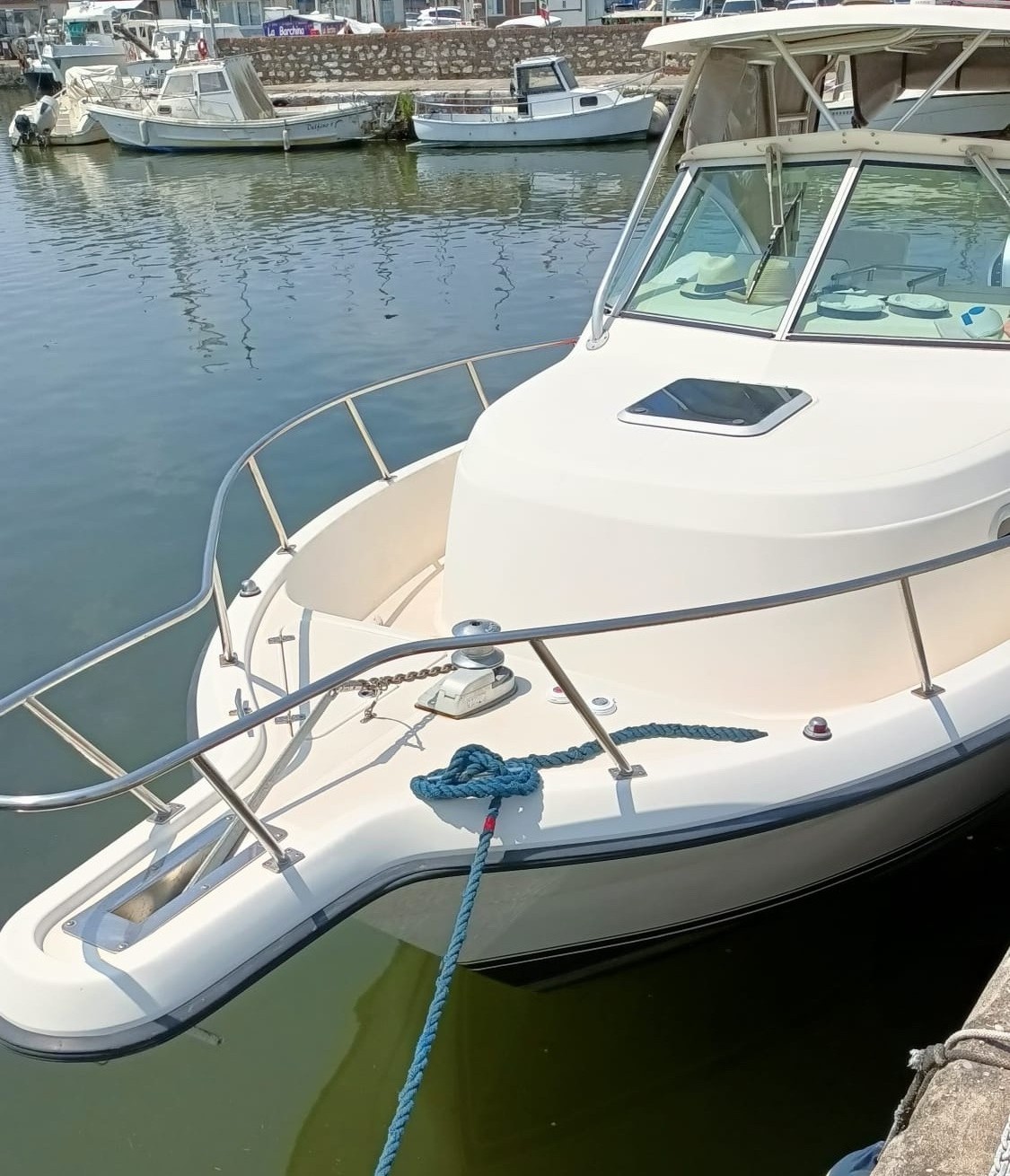 Pursuit 2870 WA · 2003 zu verkaufen – Toskana (Livorno und Elba) — Foto 1