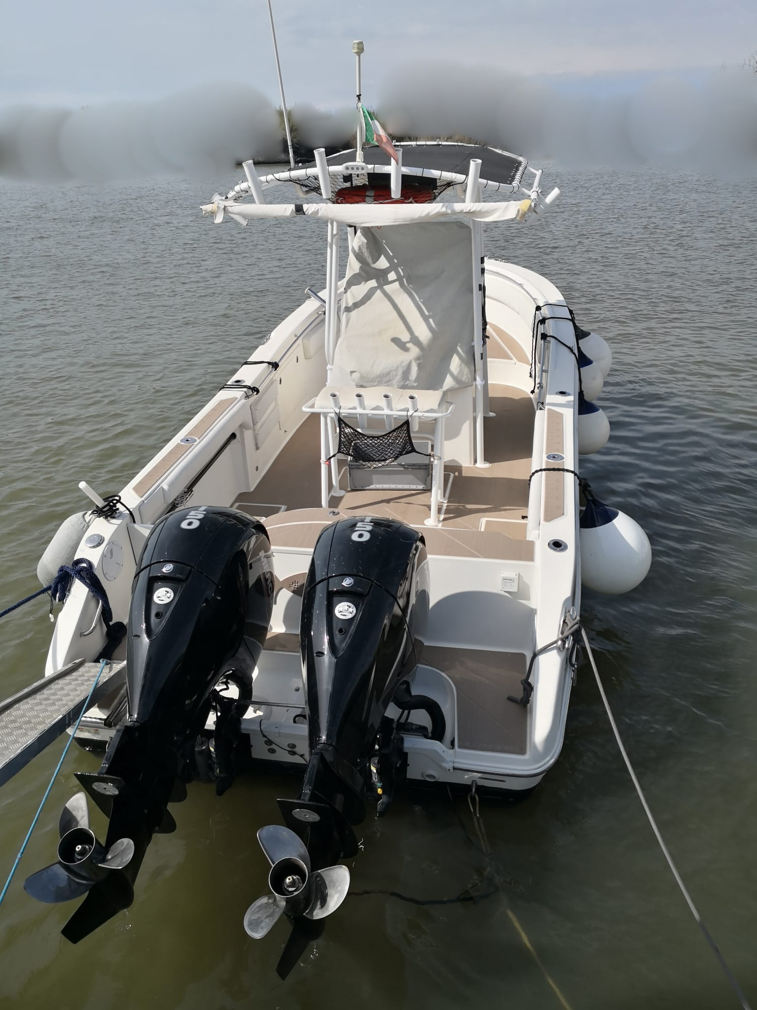 Seaswirl Striper 2605 CC · 2017 en venta en Toscana (Livorno y Elba) — foto 4