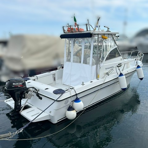 3B Craft T22 WA · 1999 en venta en Toscana (Livorno y Elba) — foto 6
