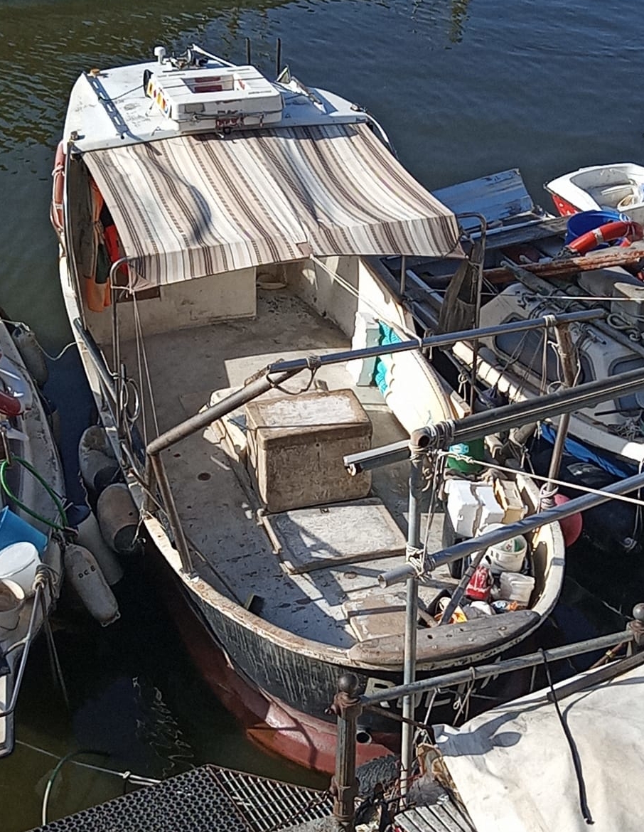 Catarsi Calasetta Pesca · 1981 en venta en Toscana (Livorno y Elba) — foto 1
