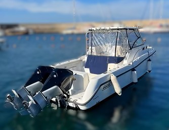 Boston Whaler 305 · 2008 for sale in Tuscany (Livorno & Elba) — photo 1
