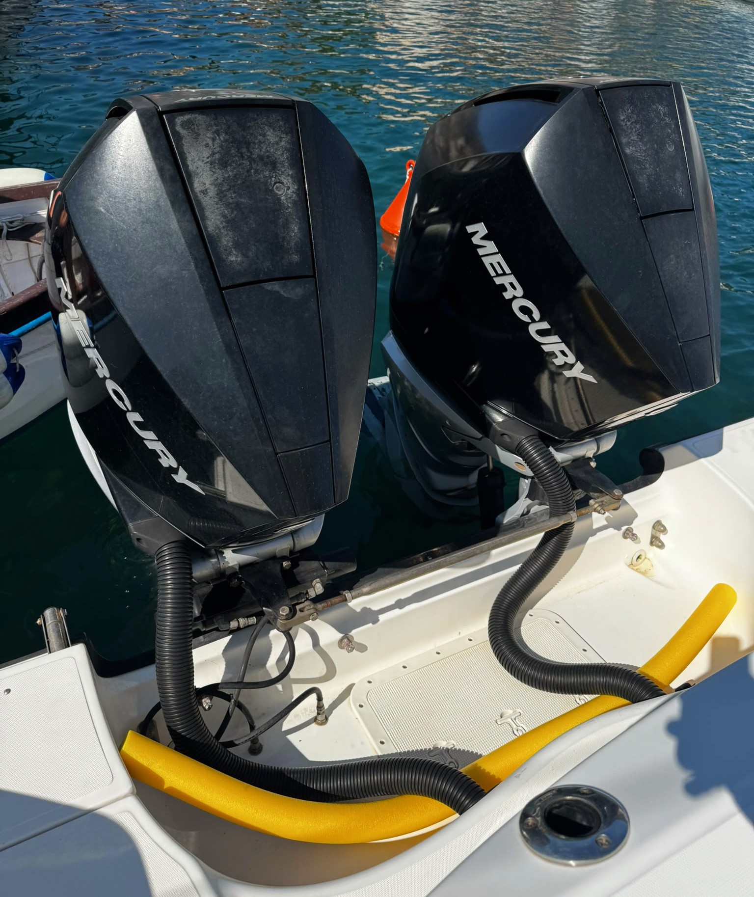 Boston Whaler 305 · 2008 for sale in Tuscany (Livorno & Elba) — photo 2