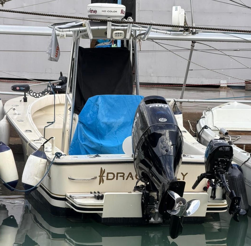 AL Custom 21 CC · 2014 en venta en Toscana (Livorno y Elba) — foto 1