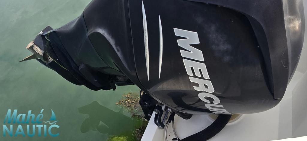 Quicksilver Commander 635 · 2010 en venta en Bretaña — foto 6