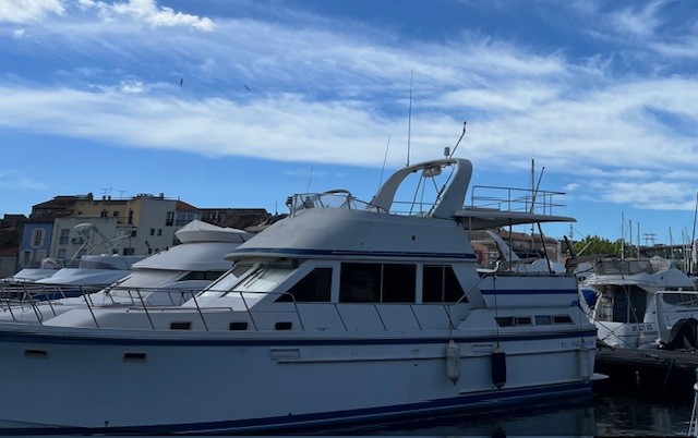 Hershine Yachts Trawler Hersine 452 · 1989 en venta en Costa Azul — foto 3