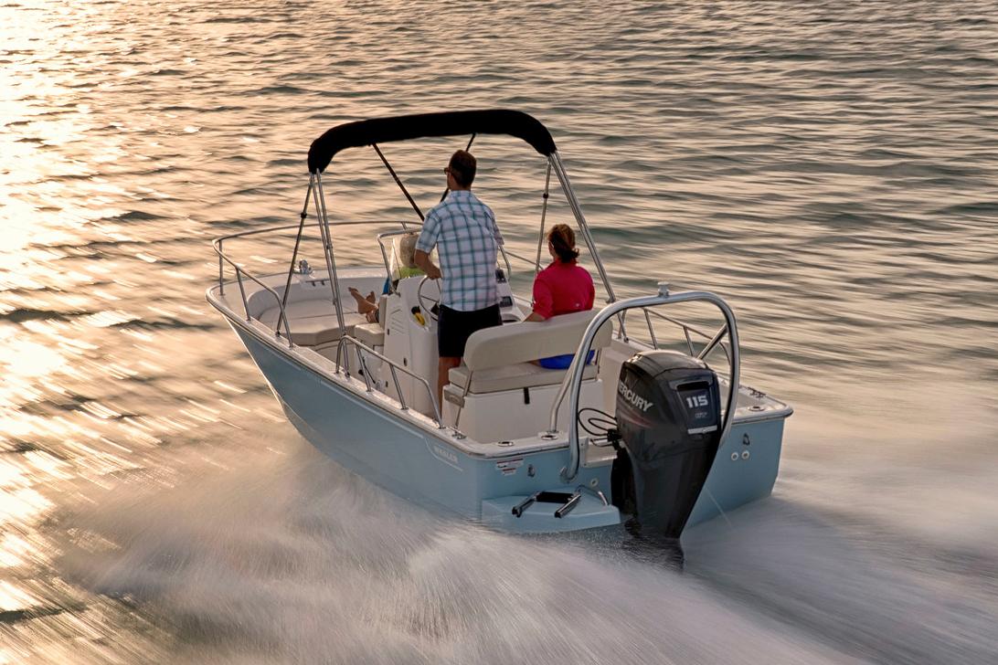 Boston Whaler 170 Montauk · 2027 zu verkaufen – Côte d'Azur — Foto 4